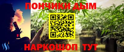 PSILOCYBIN Гай