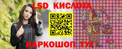 Альфа ПВП Гатчина