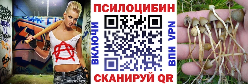 Псилоцибиновые грибы мицелий  купить  цена  Беслан 