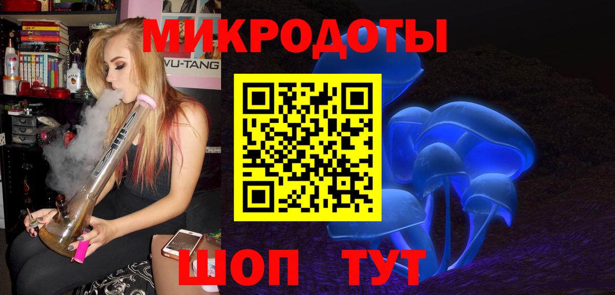 Псилоцибиновые грибы Psilocybe Беслан