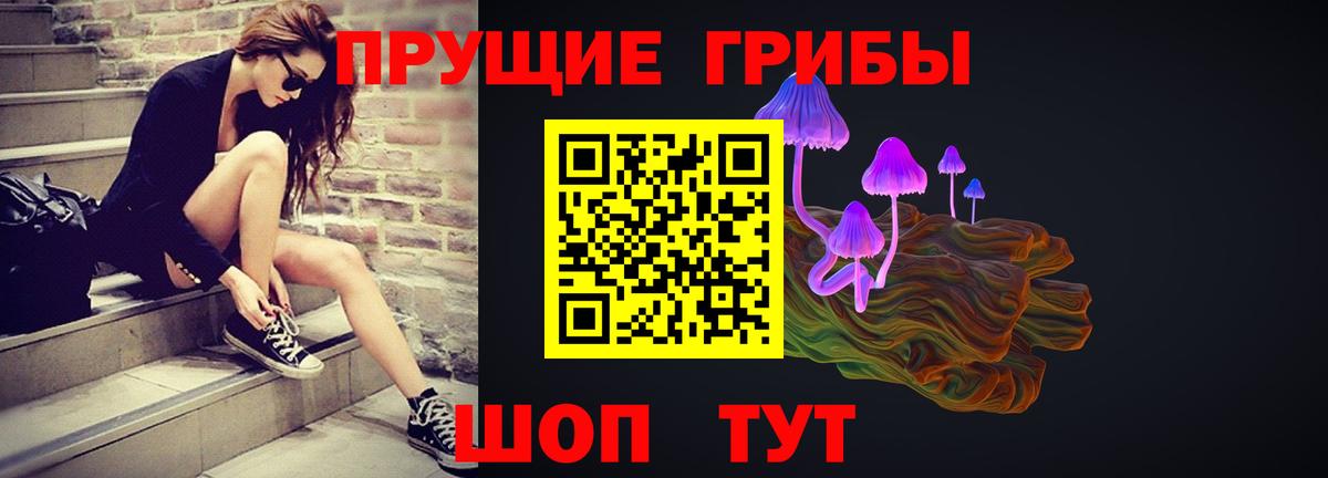 Галлюциногенные грибы MAGIC MUSHROOMS  Вход с VPN  Беслан  Псилоцибиновые грибы GOLDEN TEACHER 